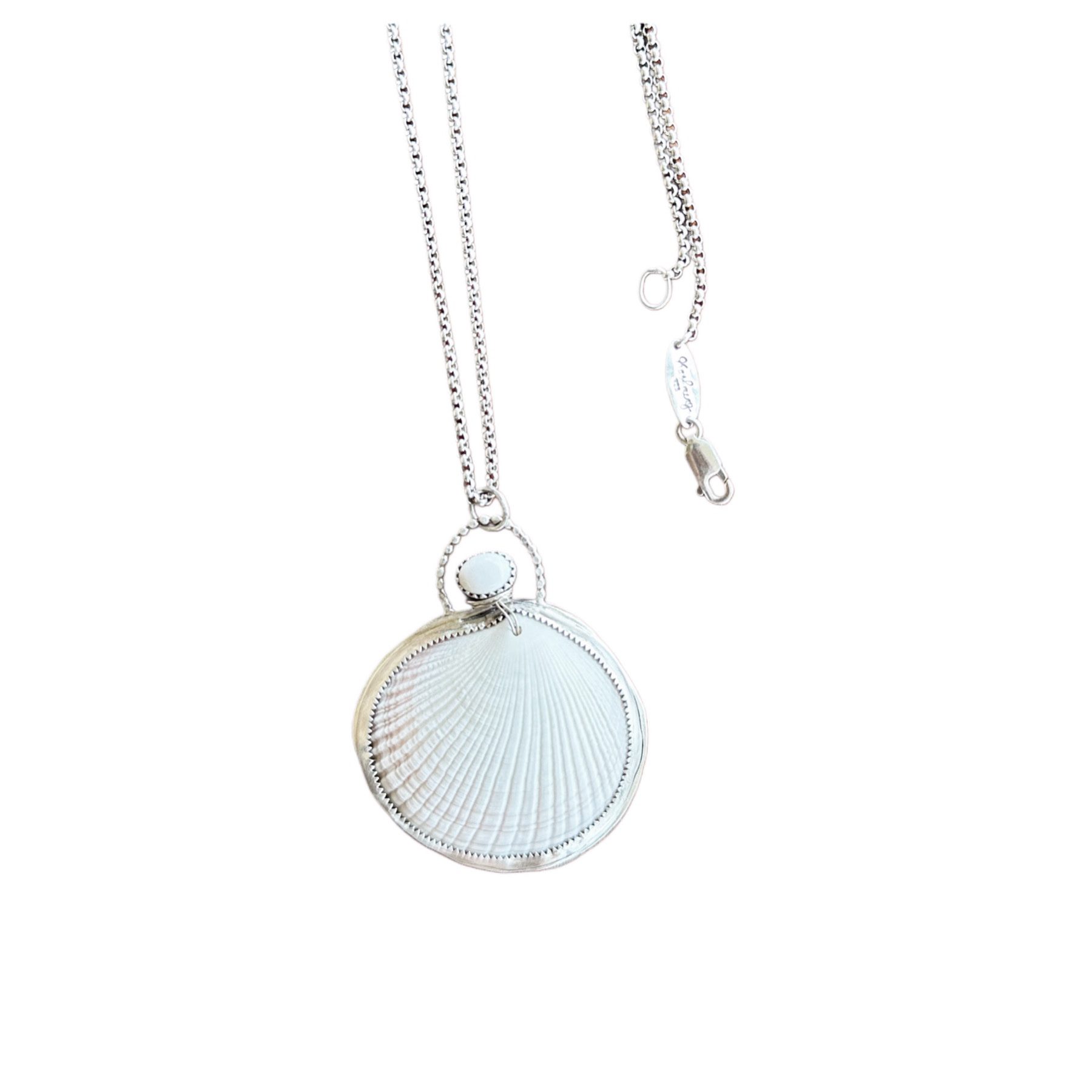 SOLD • Florida Buttercup Lucine Clam Shell & Agate Necklace